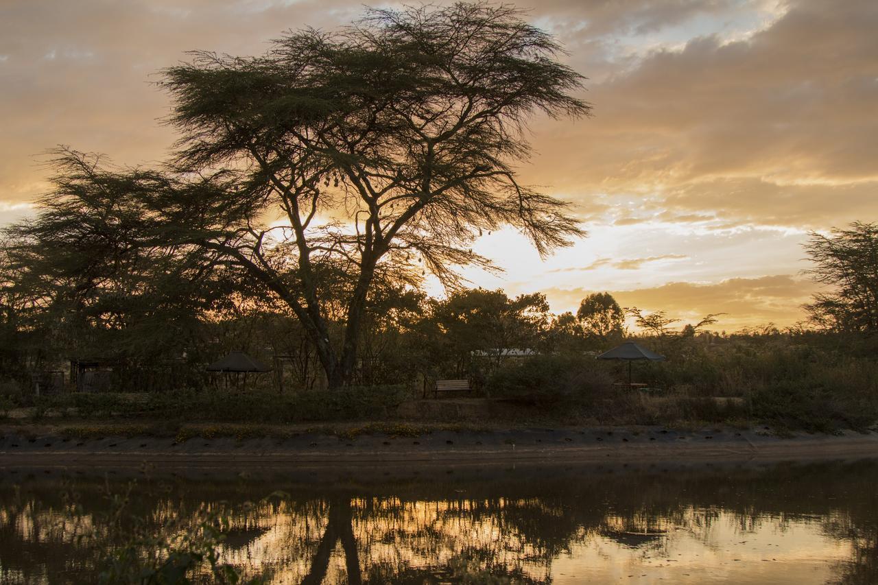 Ziwa Bush Lodge ナクル エクステリア 写真